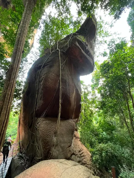 ถ้ำนาคี